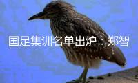 国足集训名单出炉：郑智落选 两U23新星入选