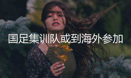毕竟克甲是外参职业联赛