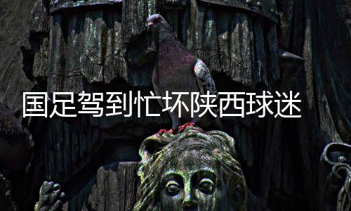 牌球往返于各个看台之间