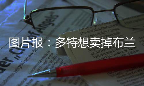 报多布兰《图片报》称