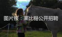图片报	：莱比锡公开招聘厨师，为球员和工作人员提供餐饮服务