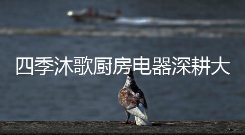 提升人们的厨房家居生活品质