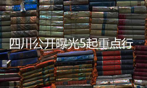 开曝多吉受到开除党籍处分