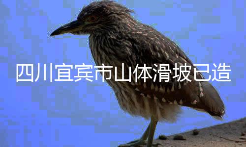 2025年2月8日11时50分许