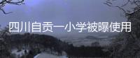 四川自贡一小学被曝使用发臭猪肉
，官方通报