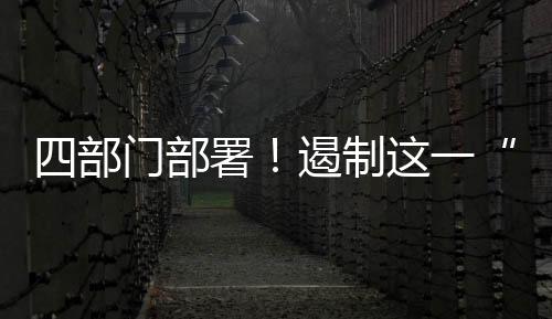 明确重点任务和工作要求