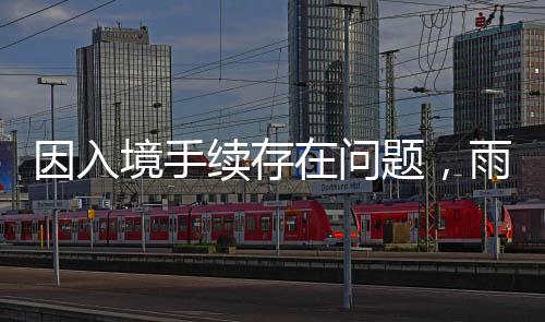 问题无缘雨果提交申请后
