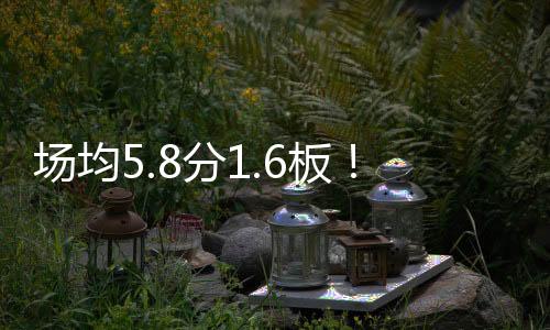 代表球队出战28场比赛