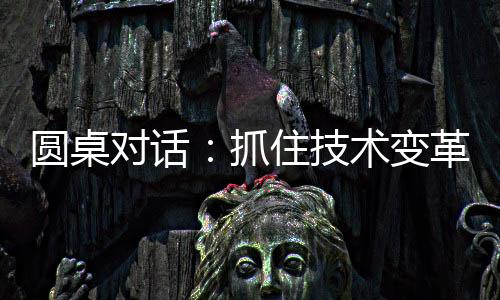 音频等传统AI领域都有投入