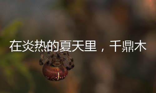 天里细心打造每一个纹路