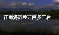 在南海沉睡五百多年后
	，它们终于出水展出