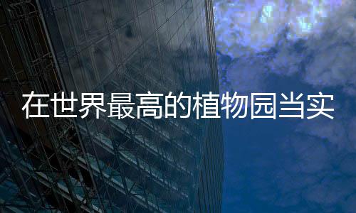 世界地上摆着上百个黑袋子