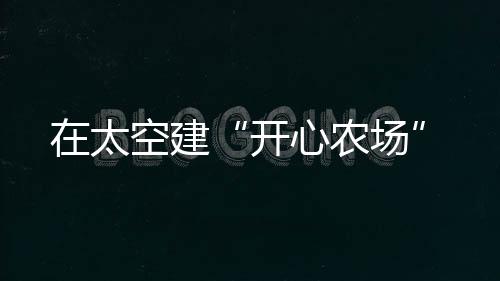 开心农场感慨地说道