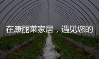 在康丽莱家居，遇见您的专属床垫
