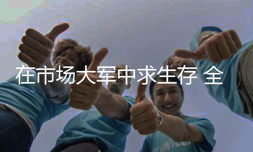 关注浪的市场生存起落