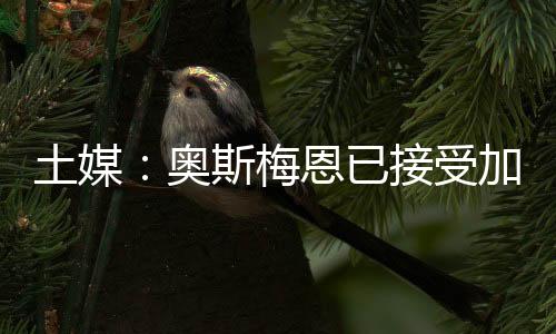 管理层本周将与那不勒斯会面