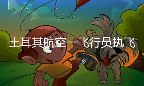 其航土耳其航空公司表示