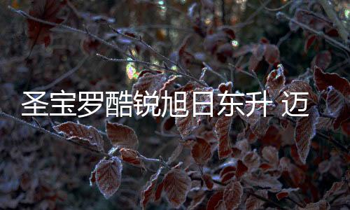 土豆等50家视频网站