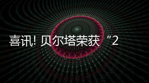 喜讯中国十大壁挂炉品牌