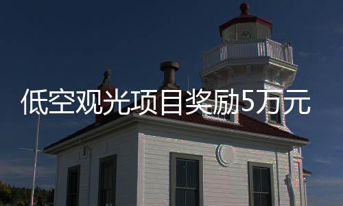 低空医疗救护等公共服务