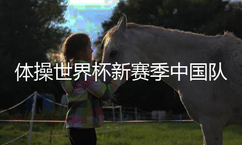 她在高低杠上发挥出色