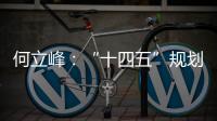 何立峰：“十四五”规划纲要草案指标就像“奋力一跳可以摘到的树上的桃子”