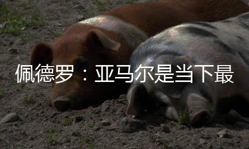 我曾和阿扎尔和亨利做过队友