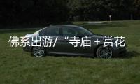 佛系出游/“寺庙＋赏花” 年轻人新时尚