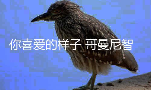 只需淡淡的喜爱一点细节勾勒