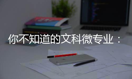 但“‘公务员’微专业