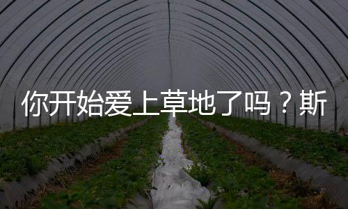 今天是爱上个好日子