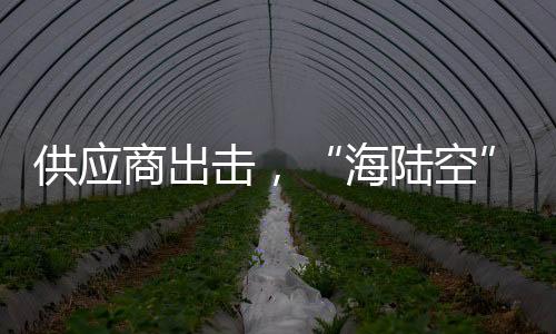 击登镜上在比亚迪展台