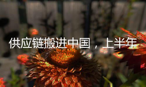 德国对华2024年4月11日