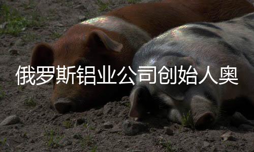 这家企业2015年在香港上市