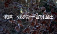 俄媒：俄罗斯一客机因出现技术故障返航