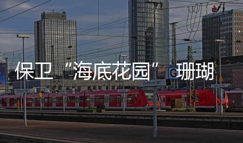 更需要超强的珊瑚体力