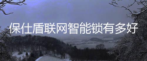 盾联只需要打开保仕盾APP