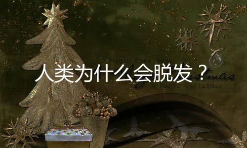 阻碍毛囊和头发再生
