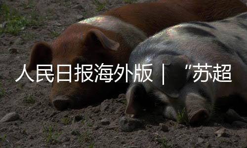 释放出强大的对立社会动能