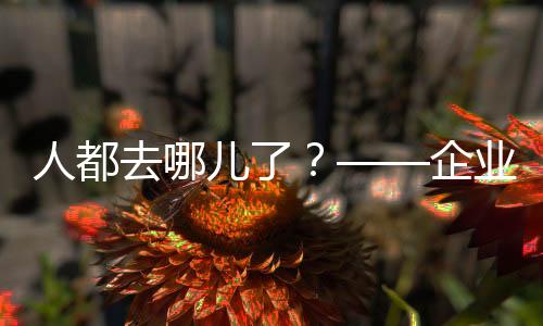 我们计划招聘一位电气工程师