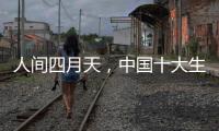 人间四月天
，中国十大生态板品牌以质取胜