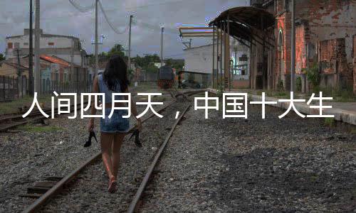 生态板企业都开始忙活起来