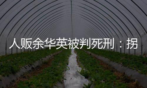 人贩学太多知识容易跑掉