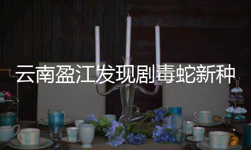 遇到几条“银环蛇”