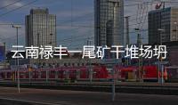 快排公司十年历程，霸屏兔 seo 的崛起与坚守