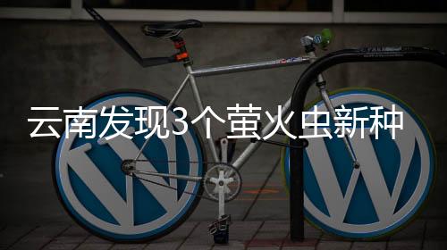 并与模式标本进行形态比较