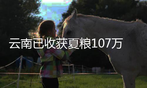累计防治252.46万亩次