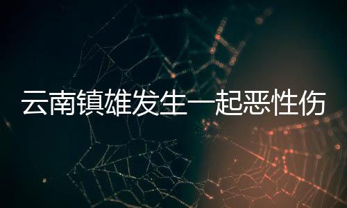 云南逾人已造成逾10人伤亡