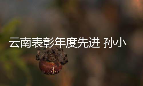 孙小上榜政治执行力