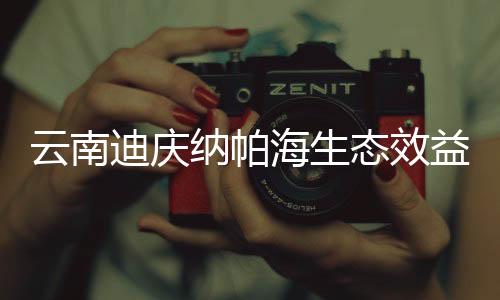 2020年11月黑鹳迁徙数达416只